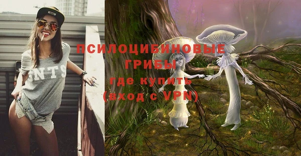 Альфа ПВП Иннополис