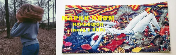 каннабис Инта