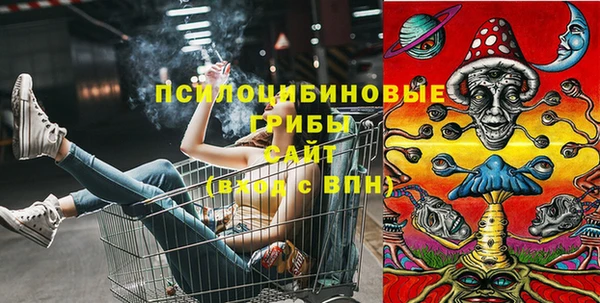 Альфа ПВП Иннополис