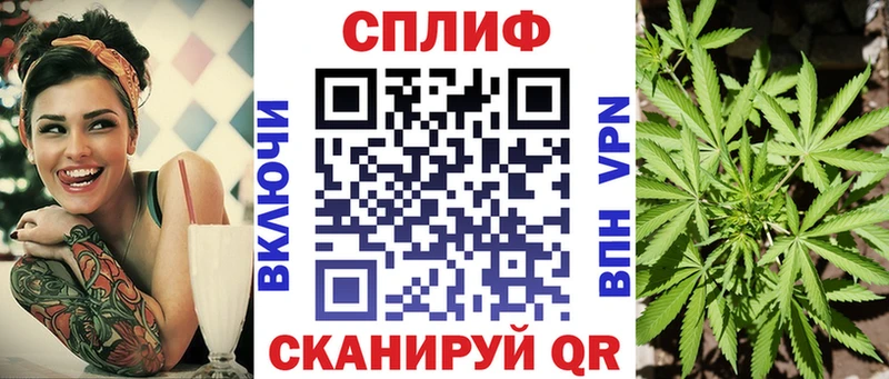 Купить где  Камбарка  Канабис индика 